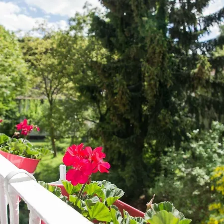 公寓 Great In 索波特