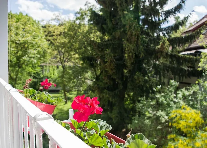 公寓 Great In 索波特